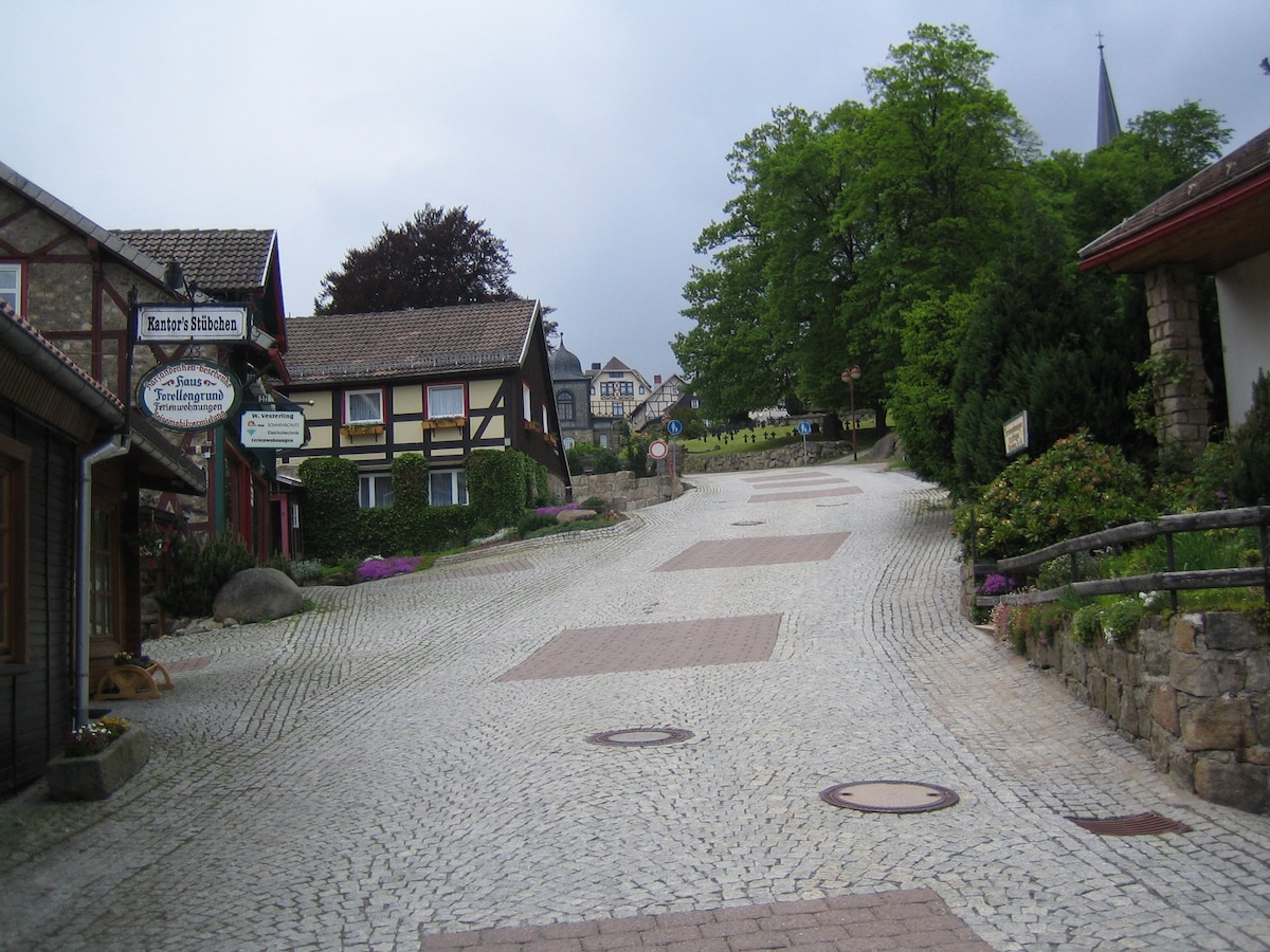 Wurmberg in Sicht -Ferienwohnung Schulte