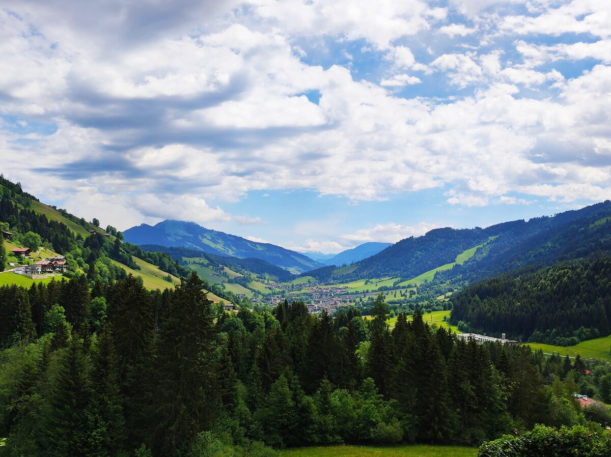 Ferienwohnung Schatzberg Panorama WILD445 (164711)