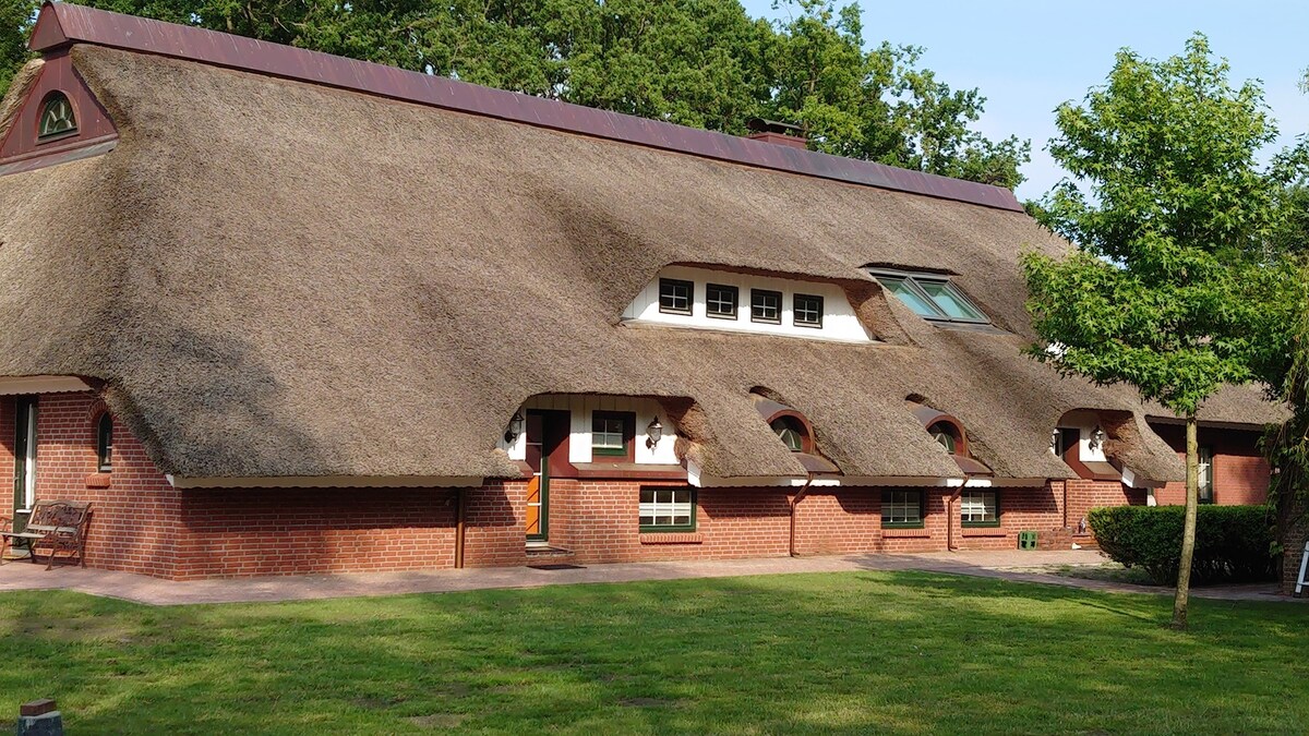 De Tuun - Landhaus Lübbertsfehn (146672)