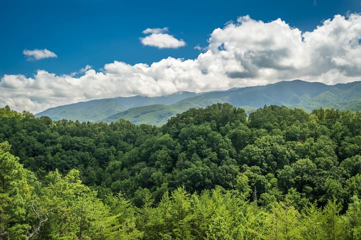 盖林柏格（Gatlinburg）的民宿