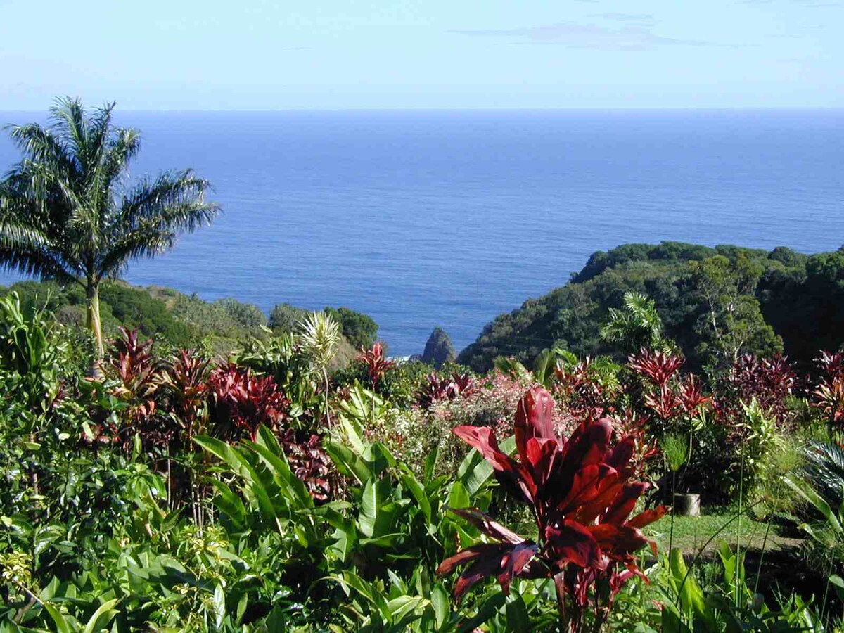 Maui Paradise Found: Pool and Beach Bliss!