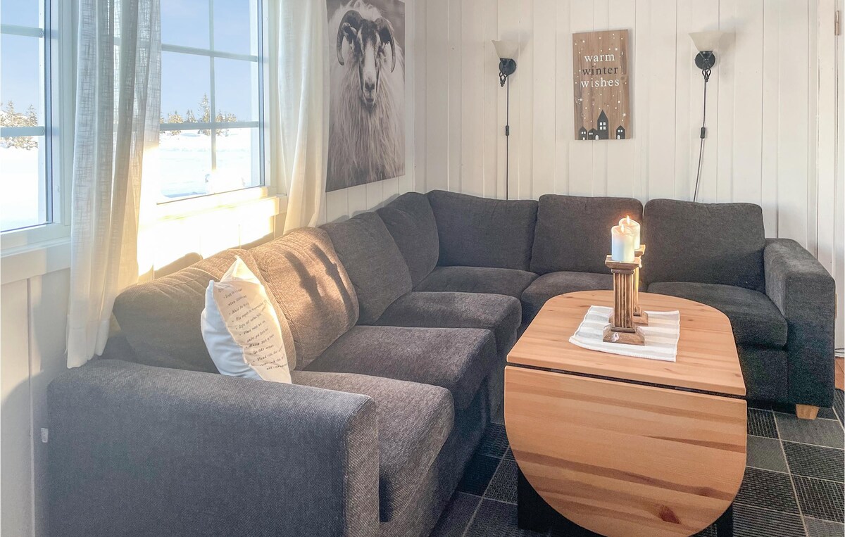 位于Sjusjøen的漂亮房源，设有3间卧室