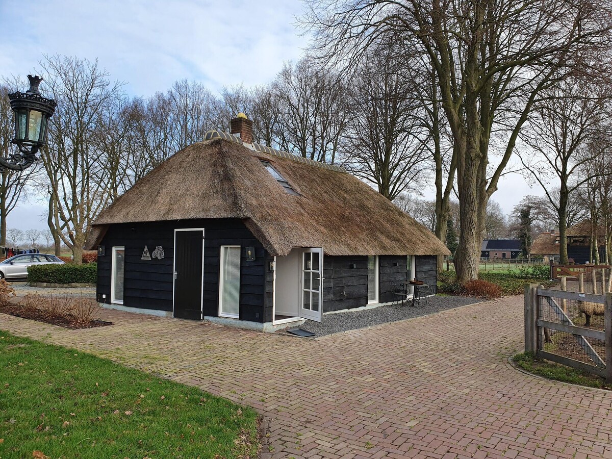 位于Nieuwleusen的度假屋，带花园