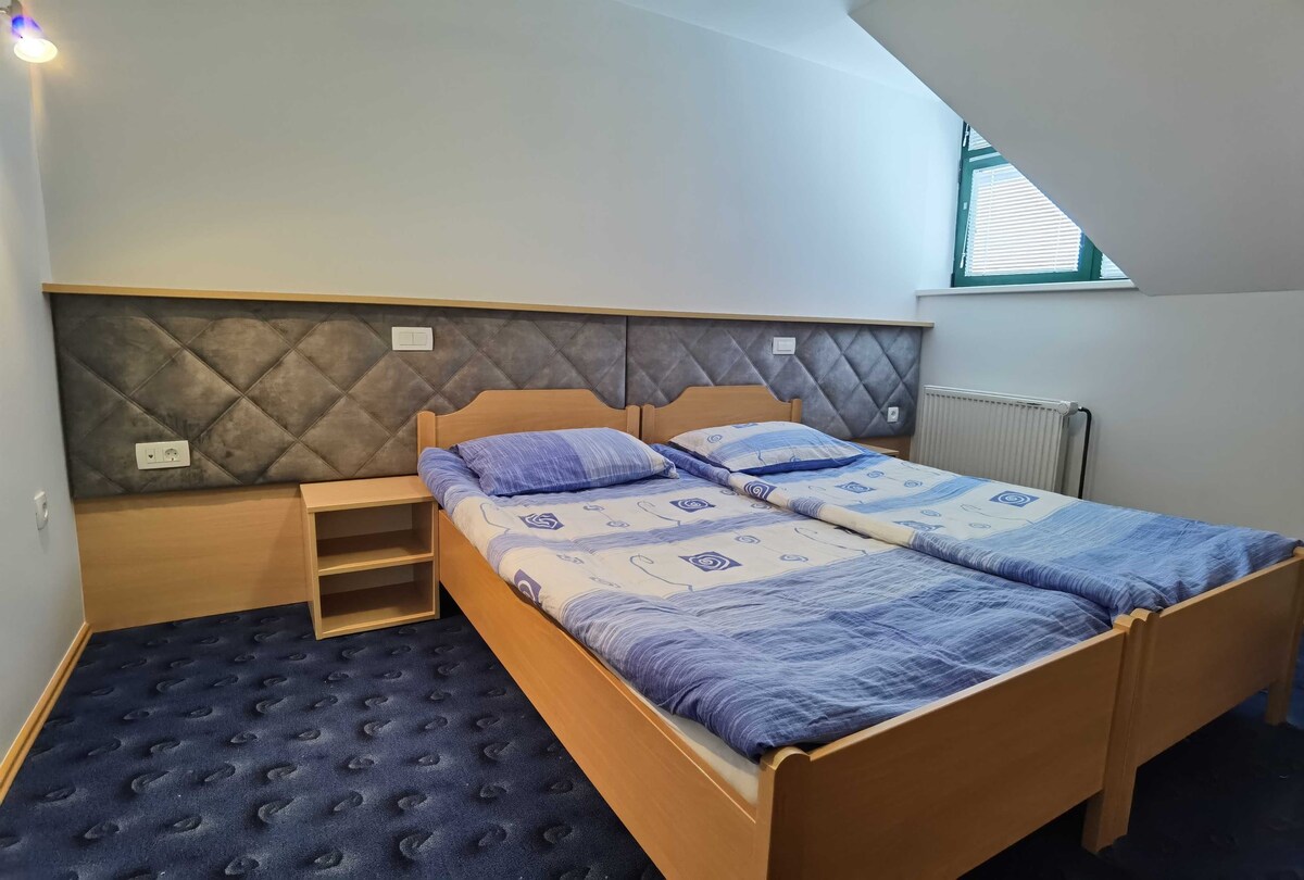 Economy Double or Twin room in Črnivec pass