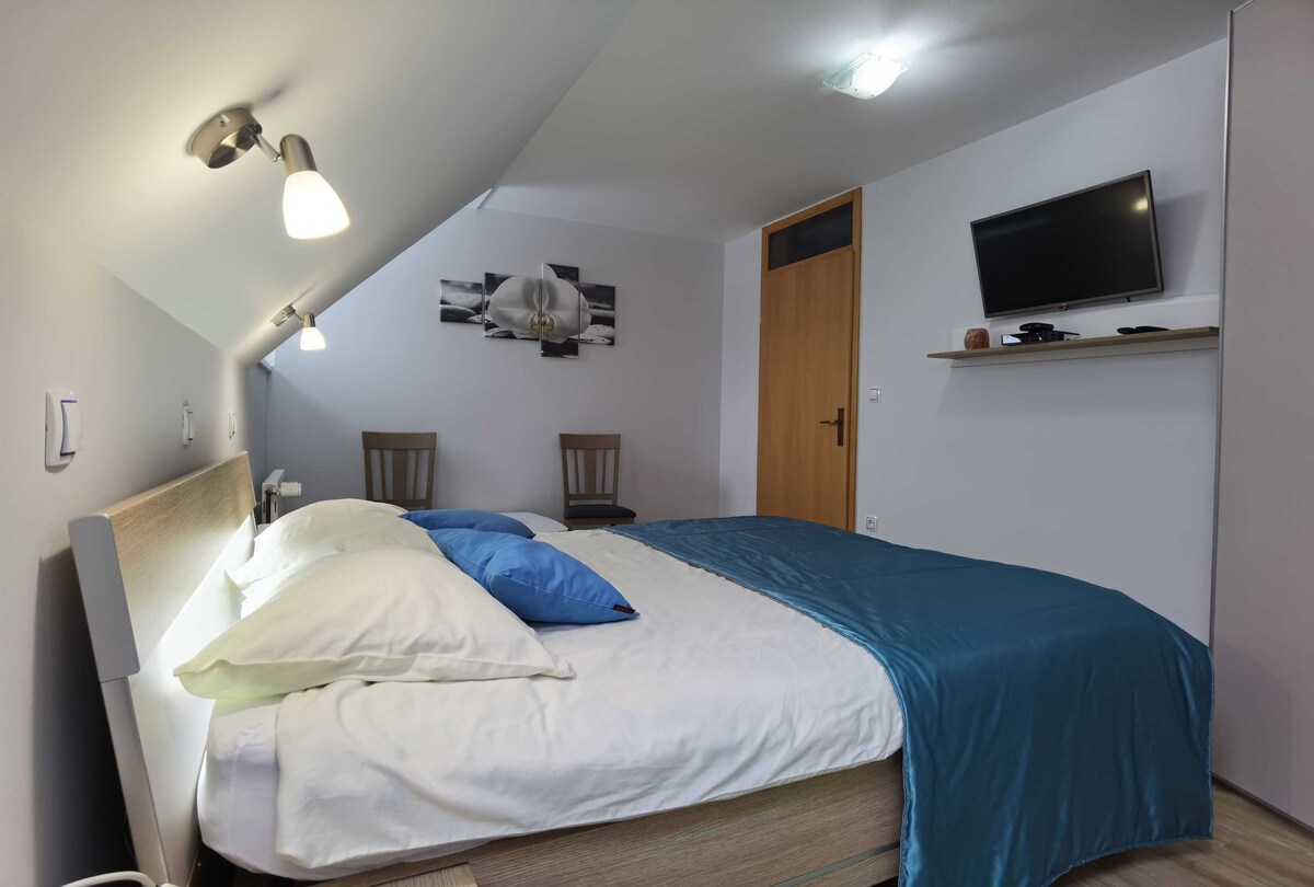 Comfortable One Bedroom Apartment in Črnivec
