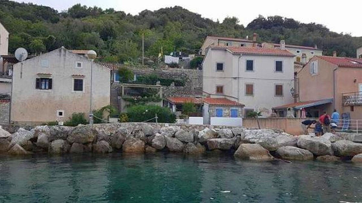 AS-20860-a Studio flat near beach Valun, Cres