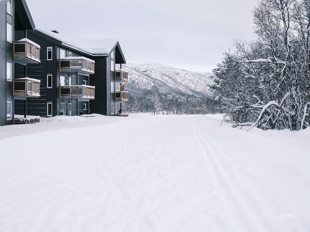 Beautiful apartment - high standard - Geilo centre