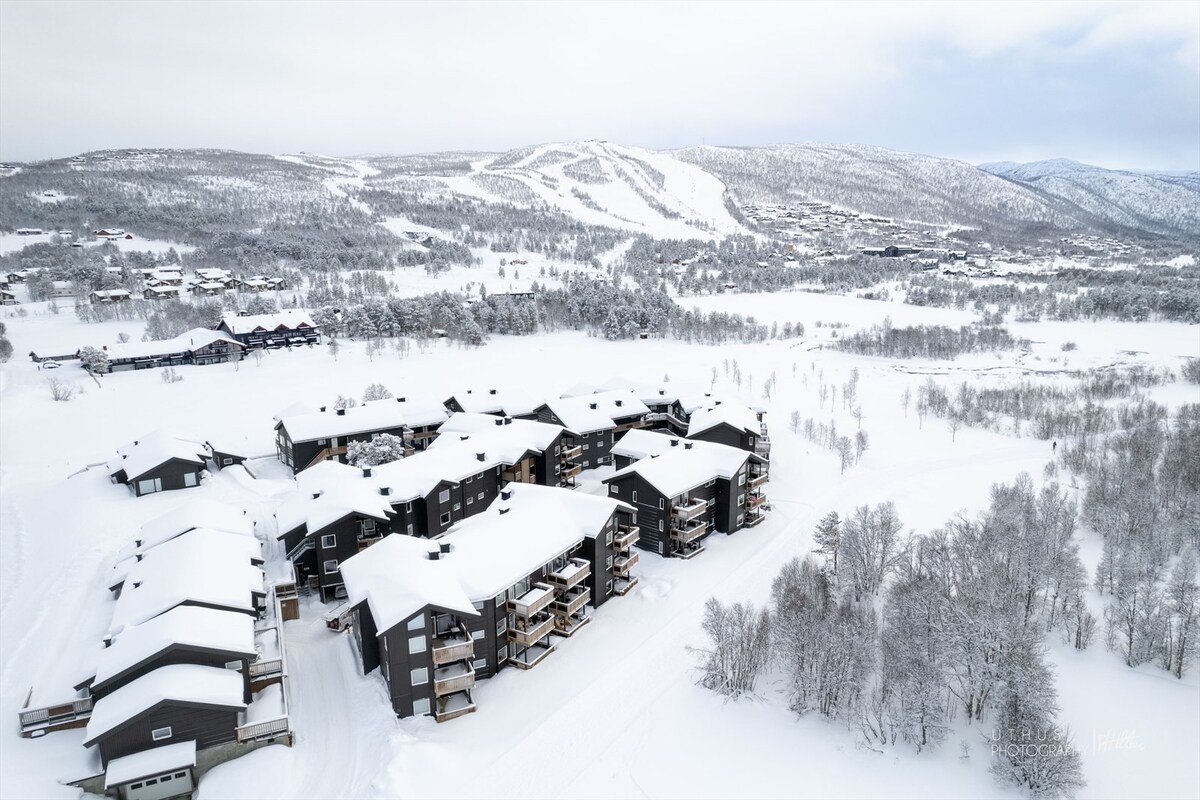 Beautiful apartment - high standard - Geilo centre