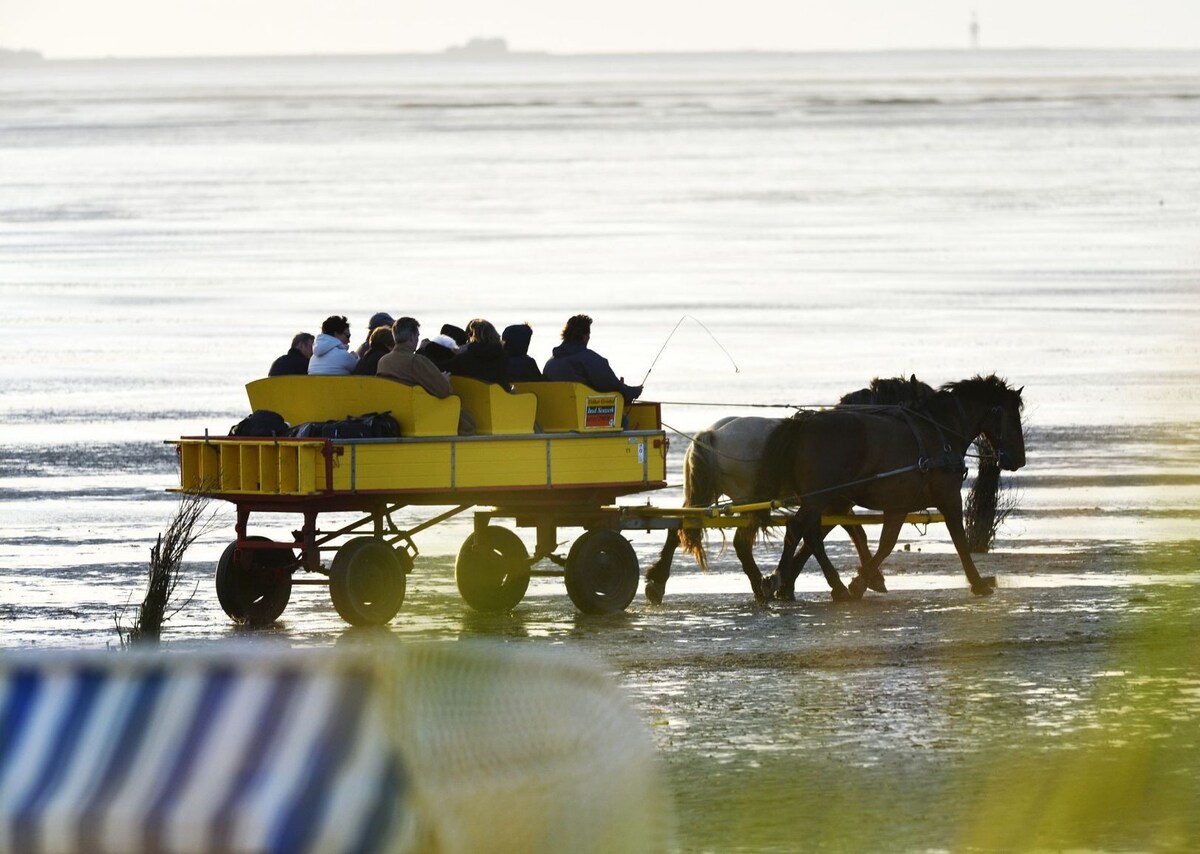 Am Sahlenburger Strand AS33