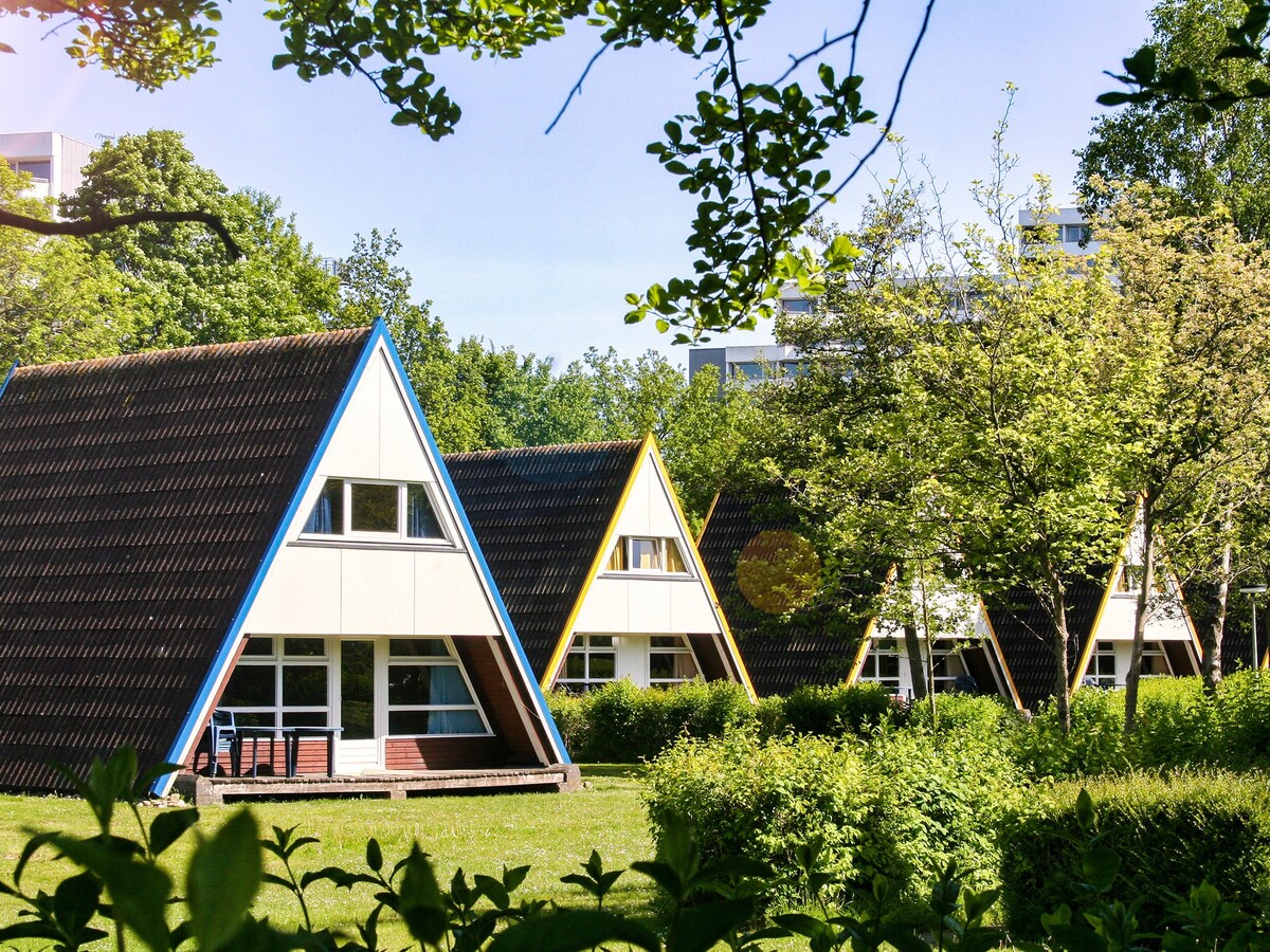 Nurdachhaus im Dampland an der Ostsee (144223)