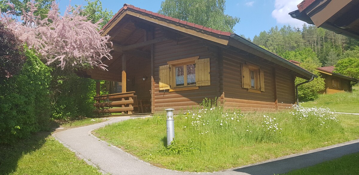 Blockhaus Bayerischer Wald (95187)