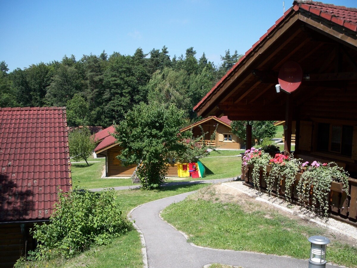 位于Stamsried的5位房客度假屋，面积为50平方米（ 115178 ）