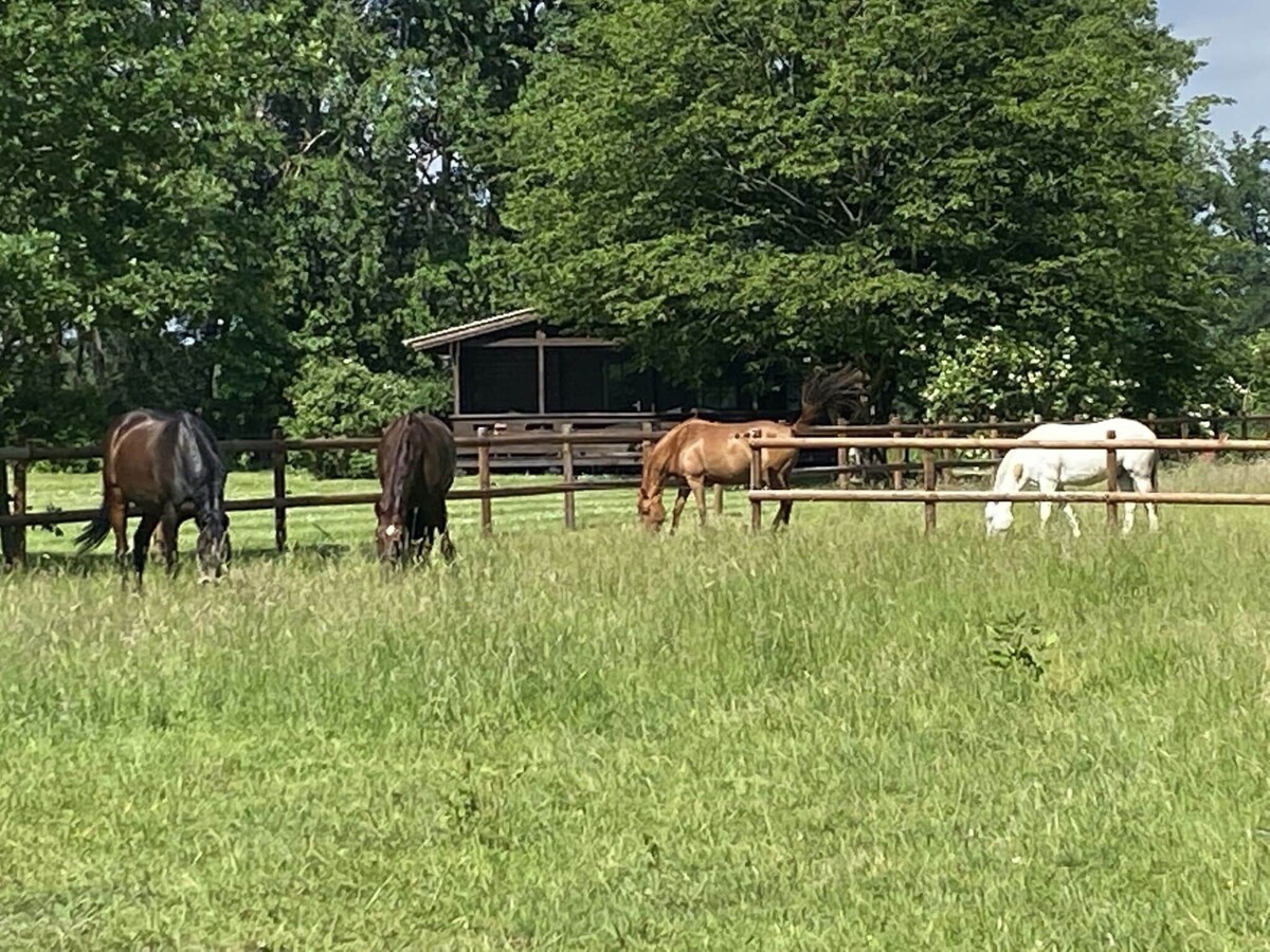 Holiday home on a riding stable