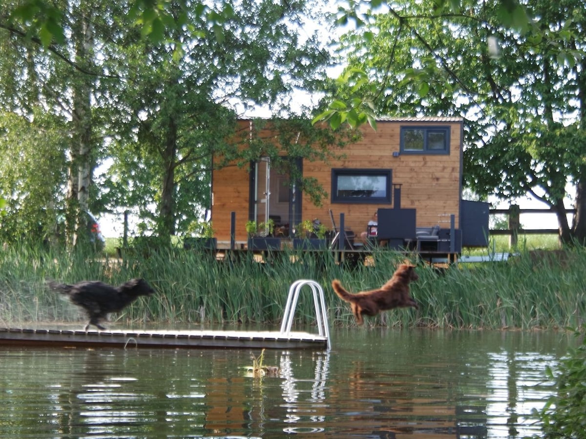 Tiny House am Naturteich bei Sächsischer Schweiz