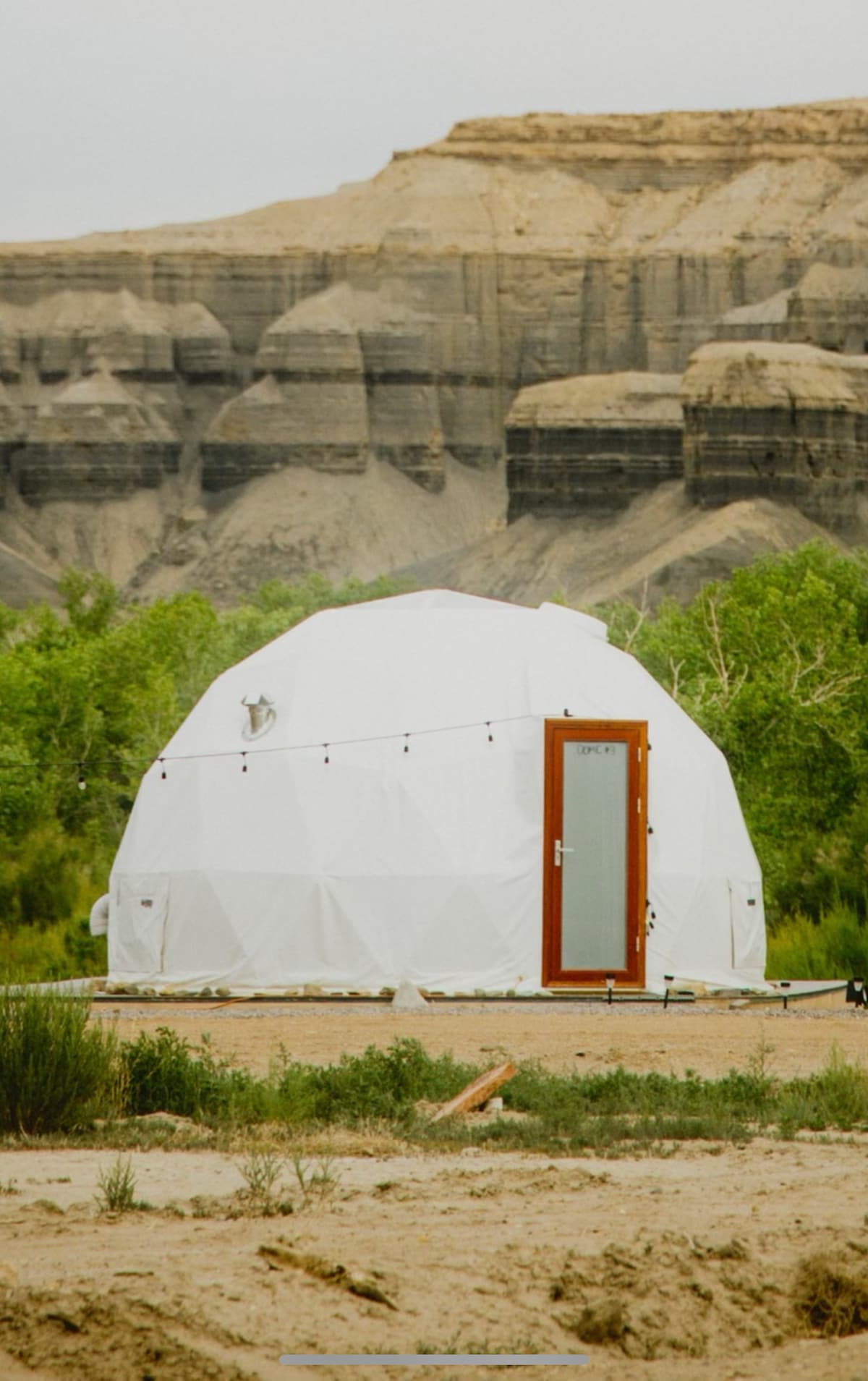 Capital Reef Dome | Juniper