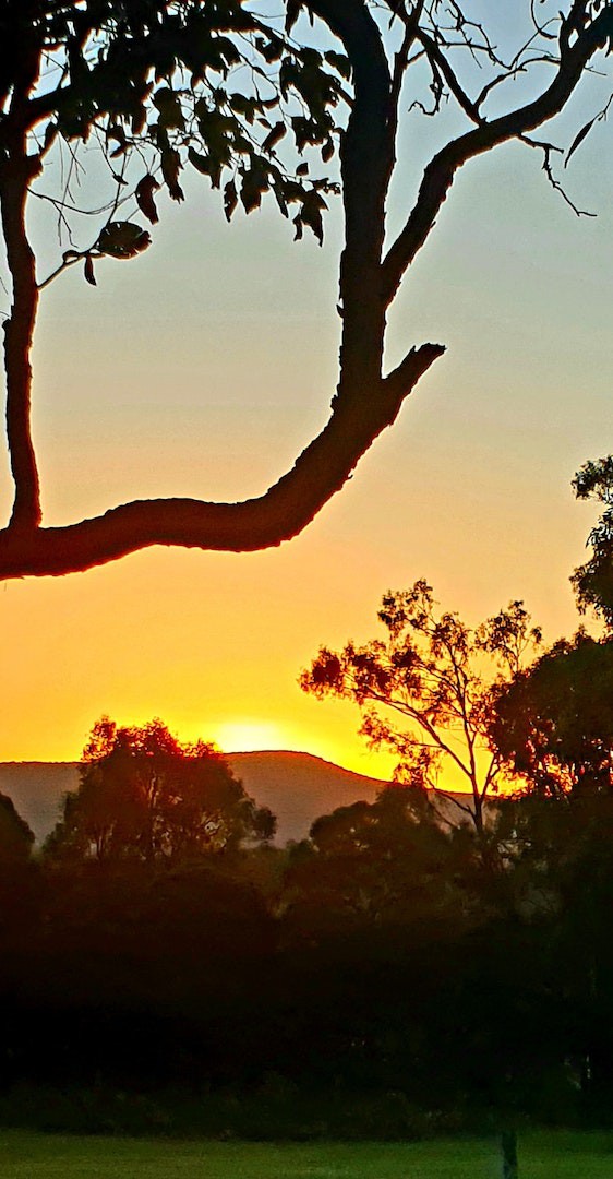 Woodlane Cottages Hunter Valley的Ironbark Cabin