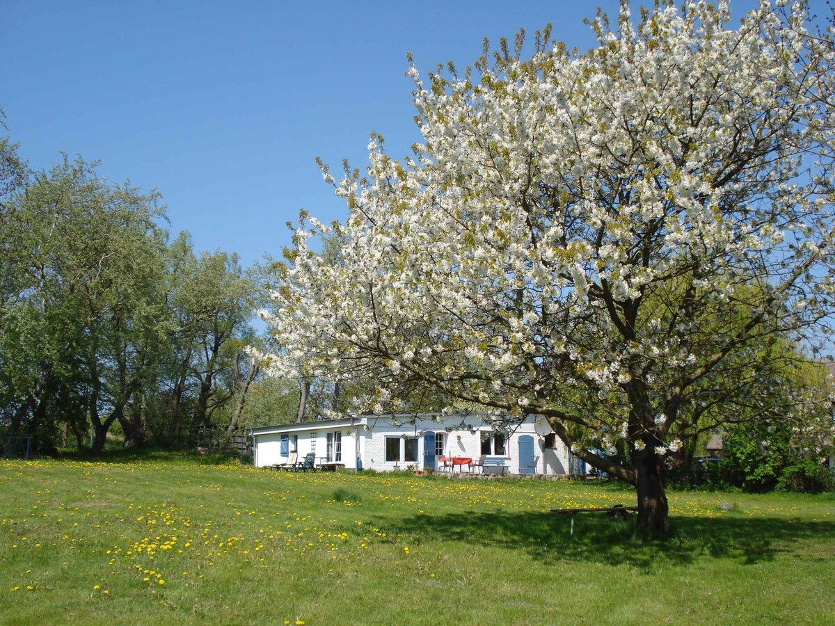 Holiday home with terrace and large sunbathing are