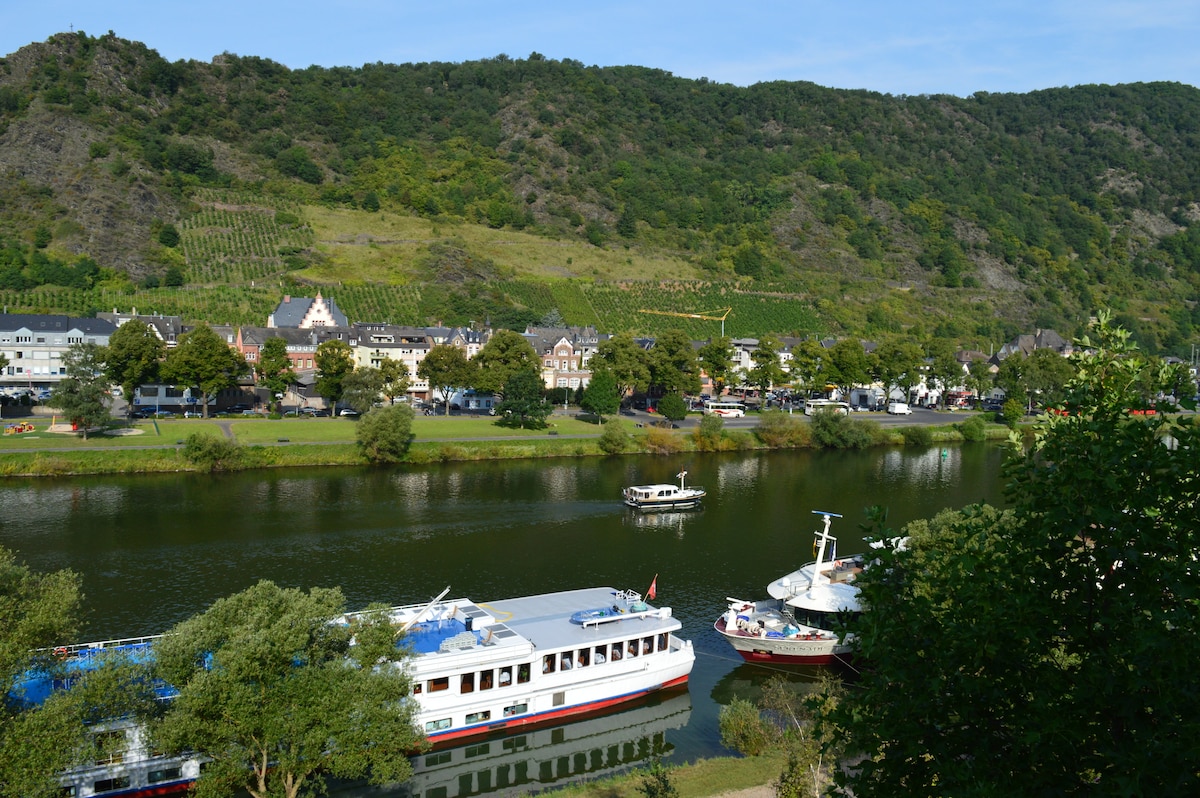 Dornfelder单间公寓，可欣赏摩泽尔美景