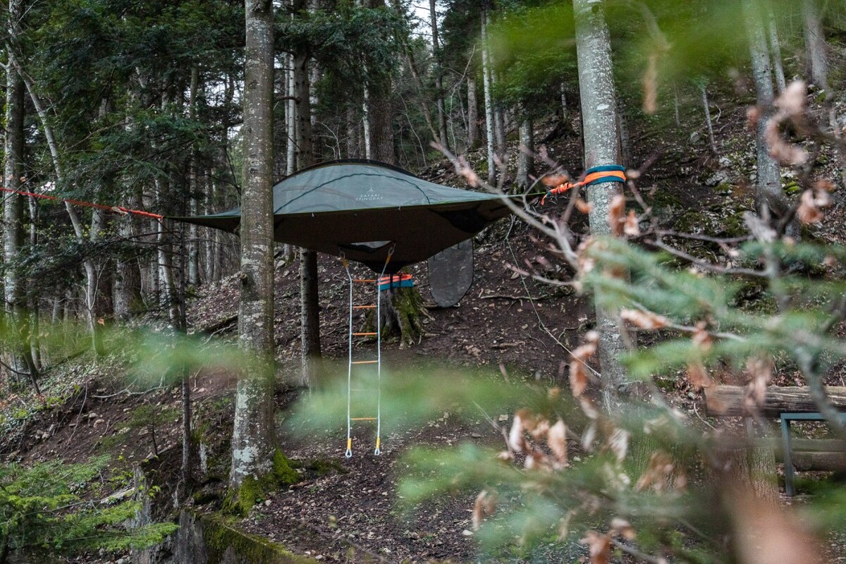 Tolles Baumzelt mit Feuerstelle