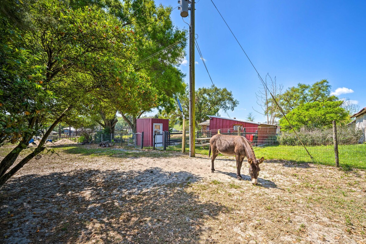 The Clubhouse - Lady Lake Farm Getaway!