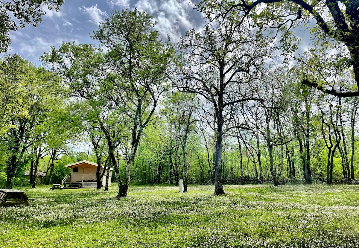 Glamping Lodge - Lodges du Bois Dodo