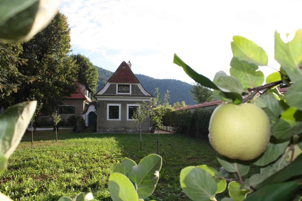 Bioweingut Schmidl Apartment (Bioweingut Schmidl-R