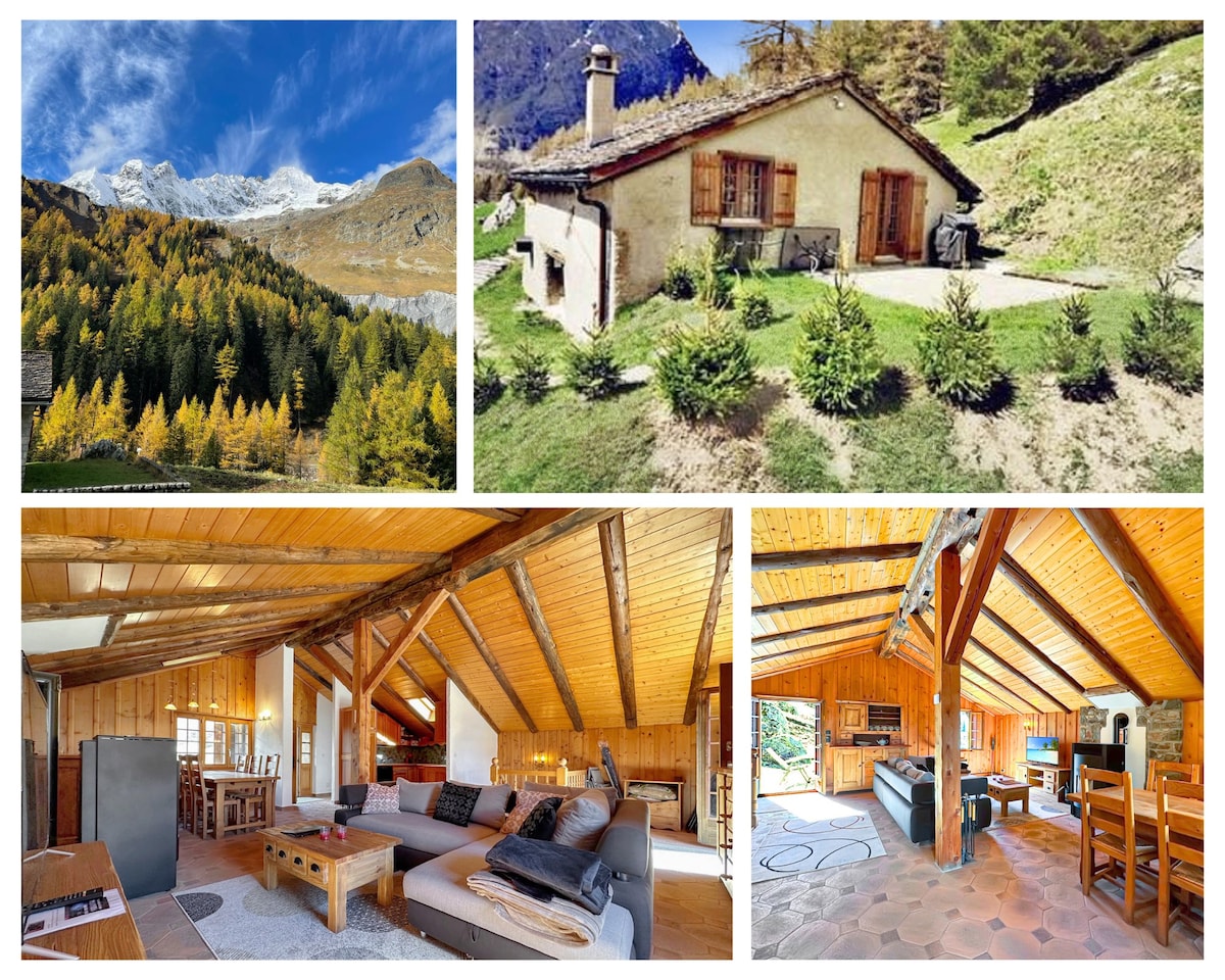 Chalet Le Basset - Family Chalet in the Swiss Alps