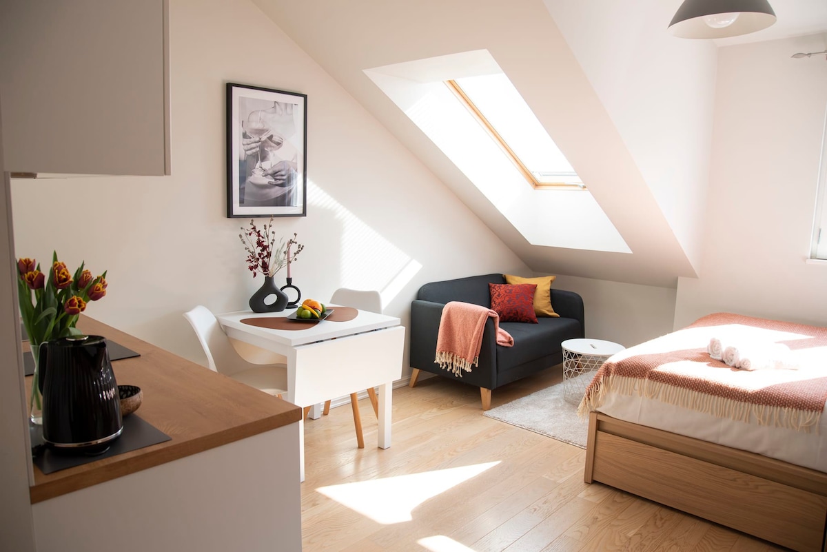 Rooftop Charm: Stylish Studio next the Old Town