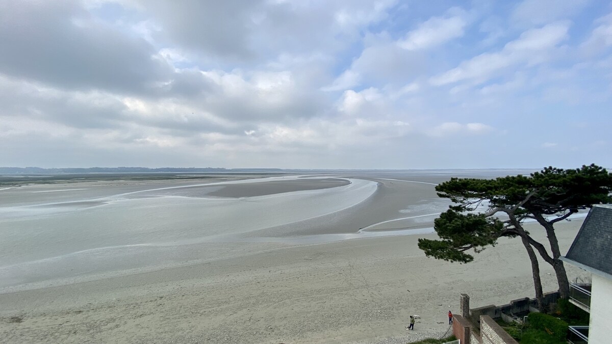 顶层公寓，可俯瞰海湾美景