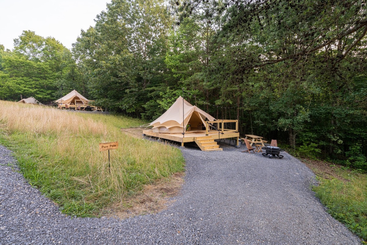 Dog Friendly Glamping for Two in Wooded Area