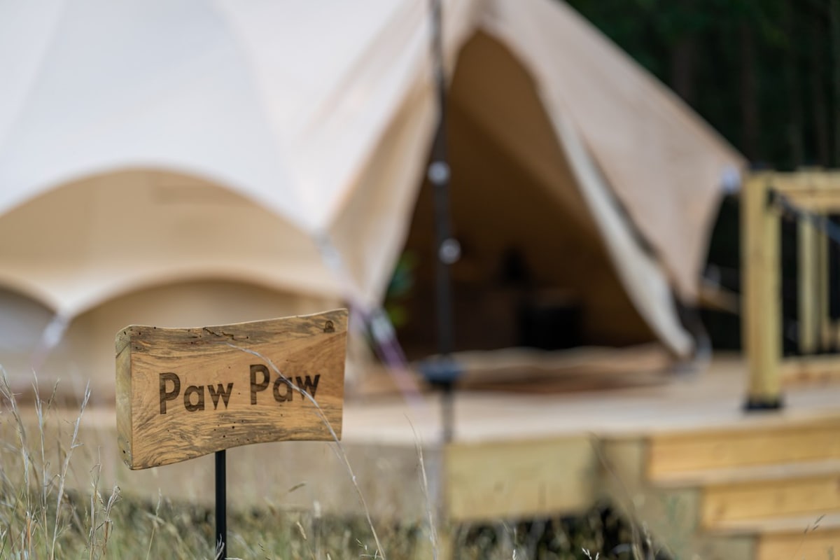 Dog Friendly Glamping for Two in Wooded Area