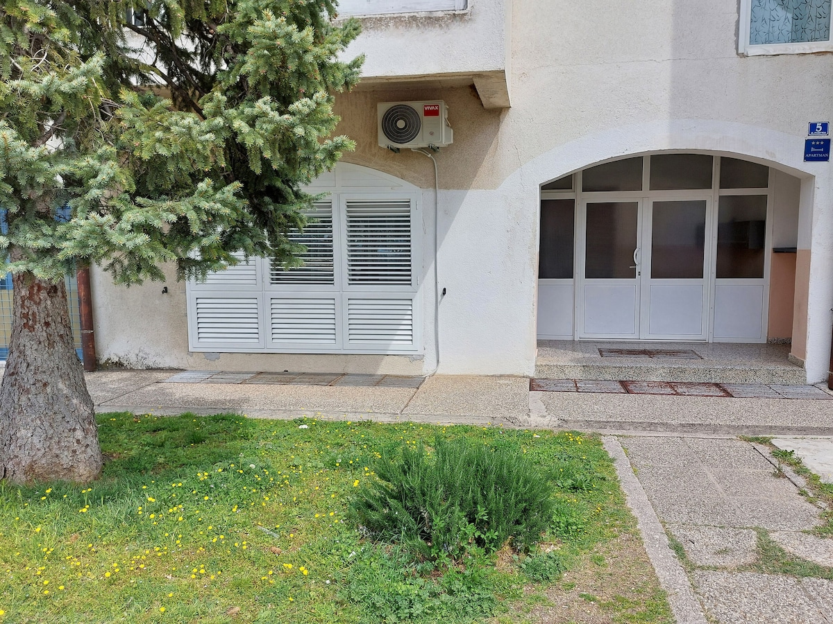 Apartment Oliva (91891-A1)