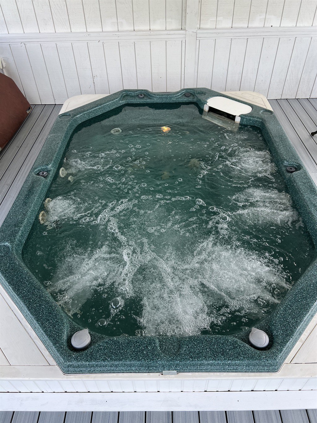 Seagull Room - Pool, Hot Tub, Sauna