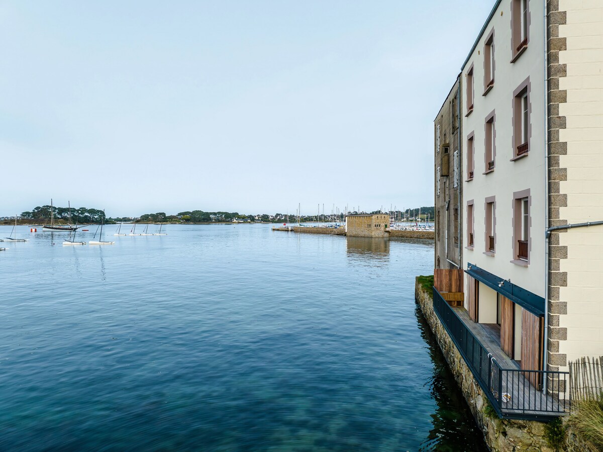 Ile Cezon - Duplex de luxe avec magnifique vue mer