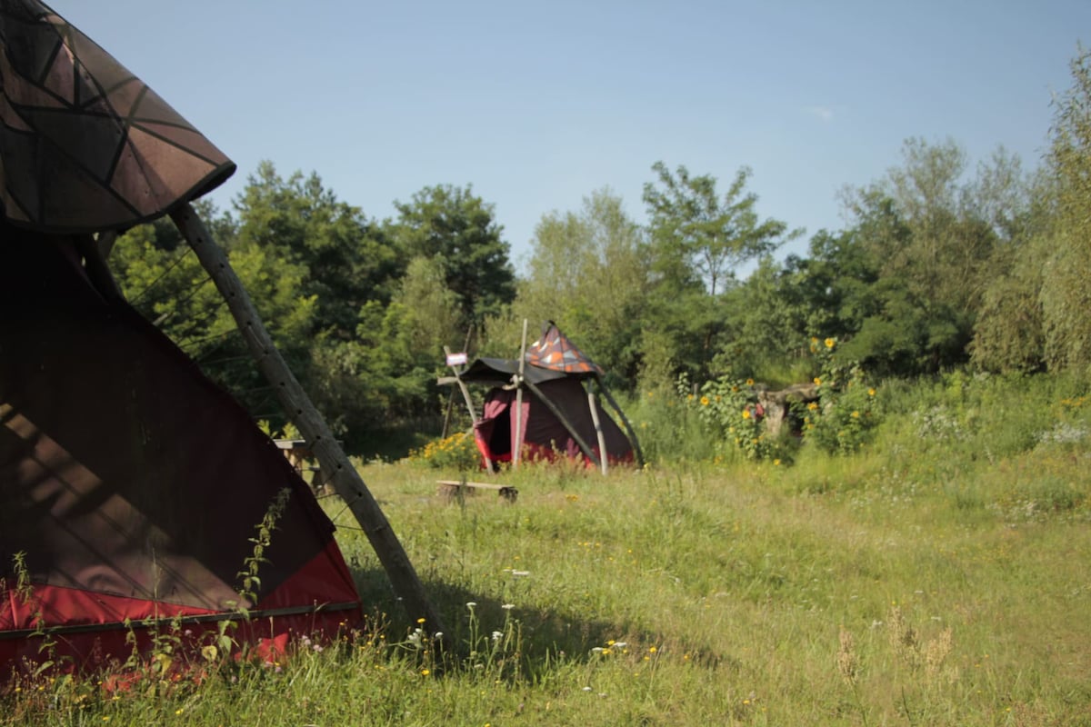 Die geheime Welt von Turisede Camping -40 qm