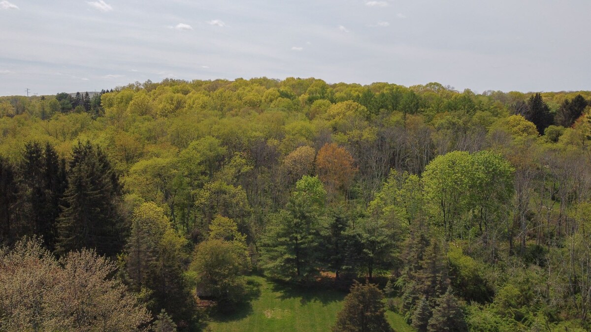 Hudson Valley in A-Frame w/ Pool