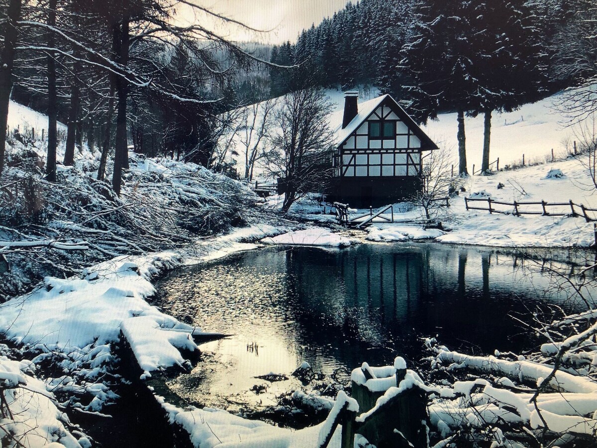 Large house in Winterberg in the Sauerland region