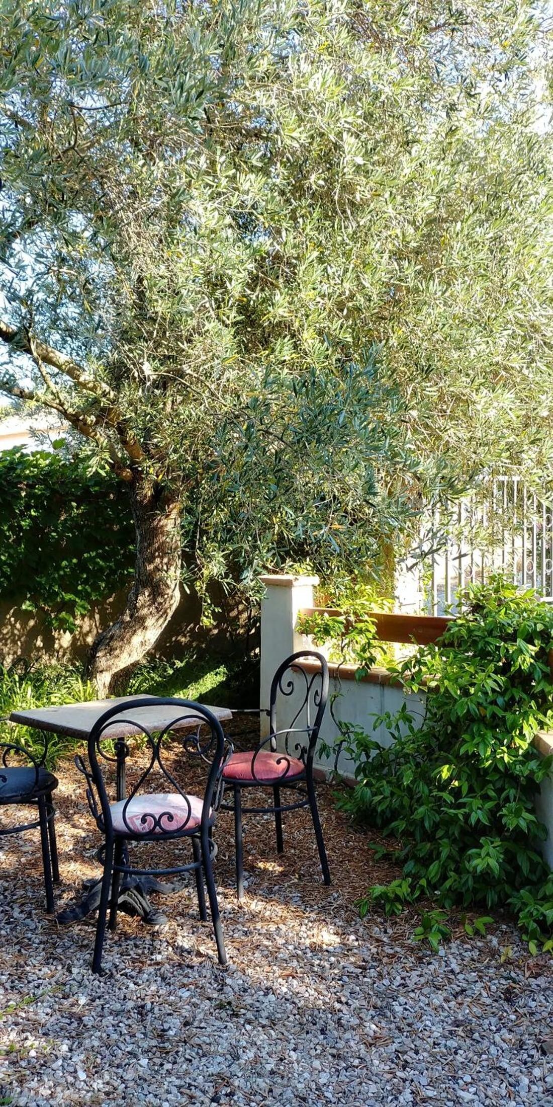 A Teppa-l'olivier- Private Garden