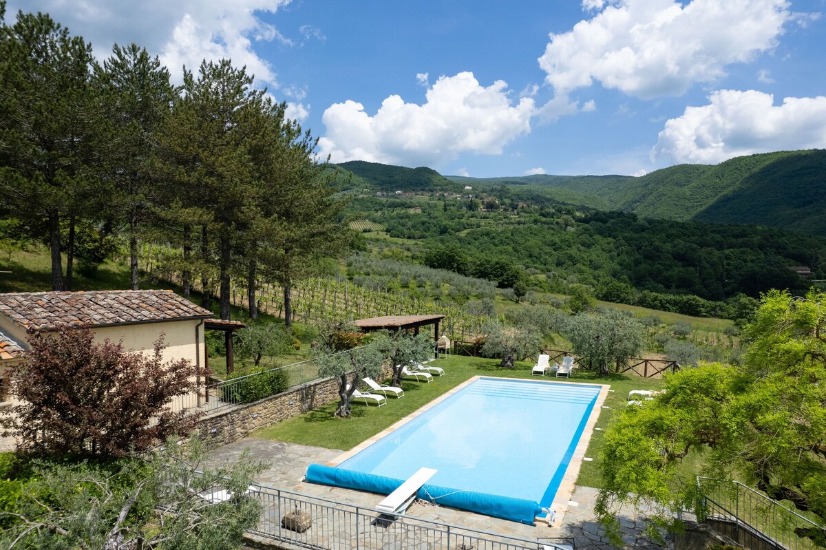 Villa Olivi - Subbiano, Toscana, Pool And Nature -