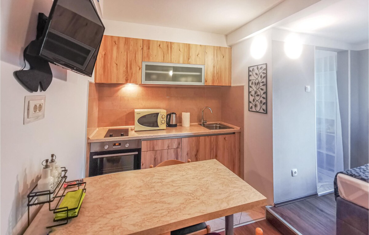 Amazing apartment in Rijeka with kitchen