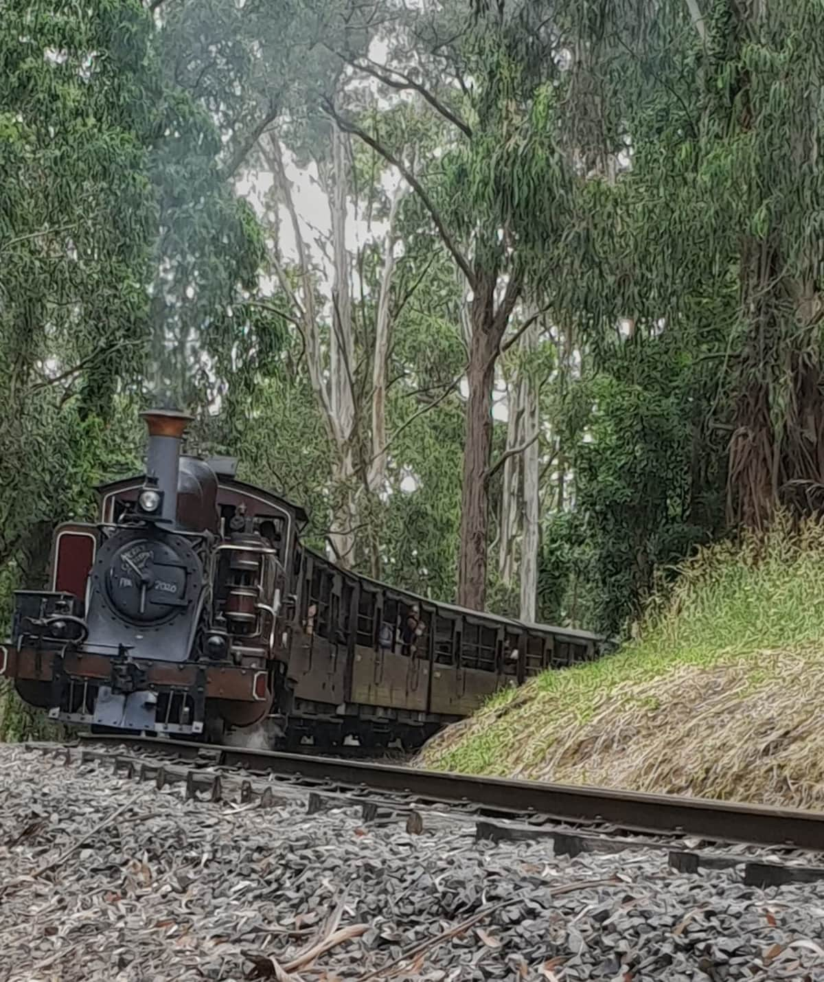 Forest Hideaway - Puffing Billy Railway!