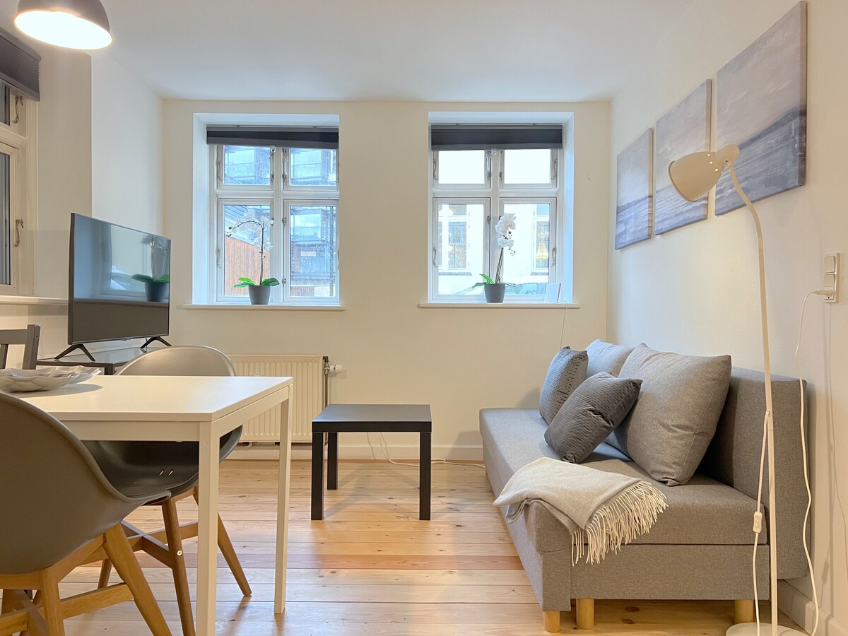 Studio Apartment in Frederiksberg