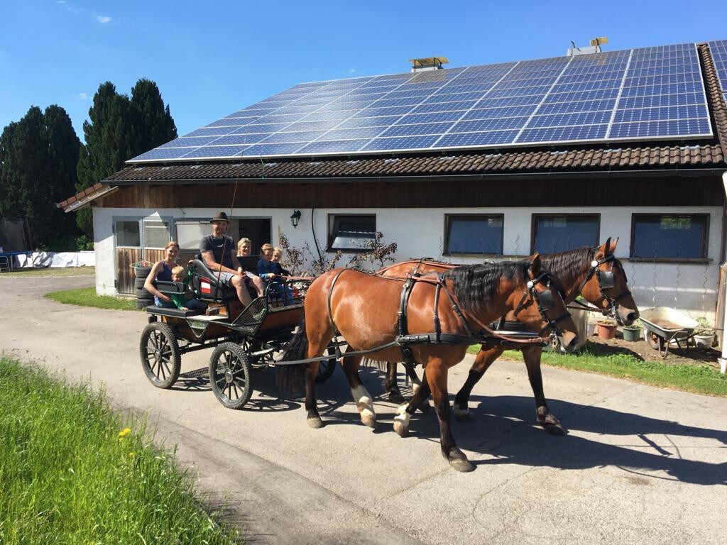 Ferienwohnung Staufen, 1SZ, Wohnküche, Balkon,45m²