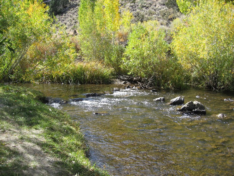 Virginia Creek Settlement - Covered Wagon