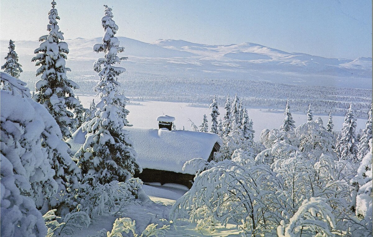 Trollbu Granåsen/Fefor