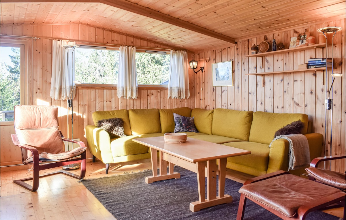 Gorgeous home in Sjusjøen with sauna