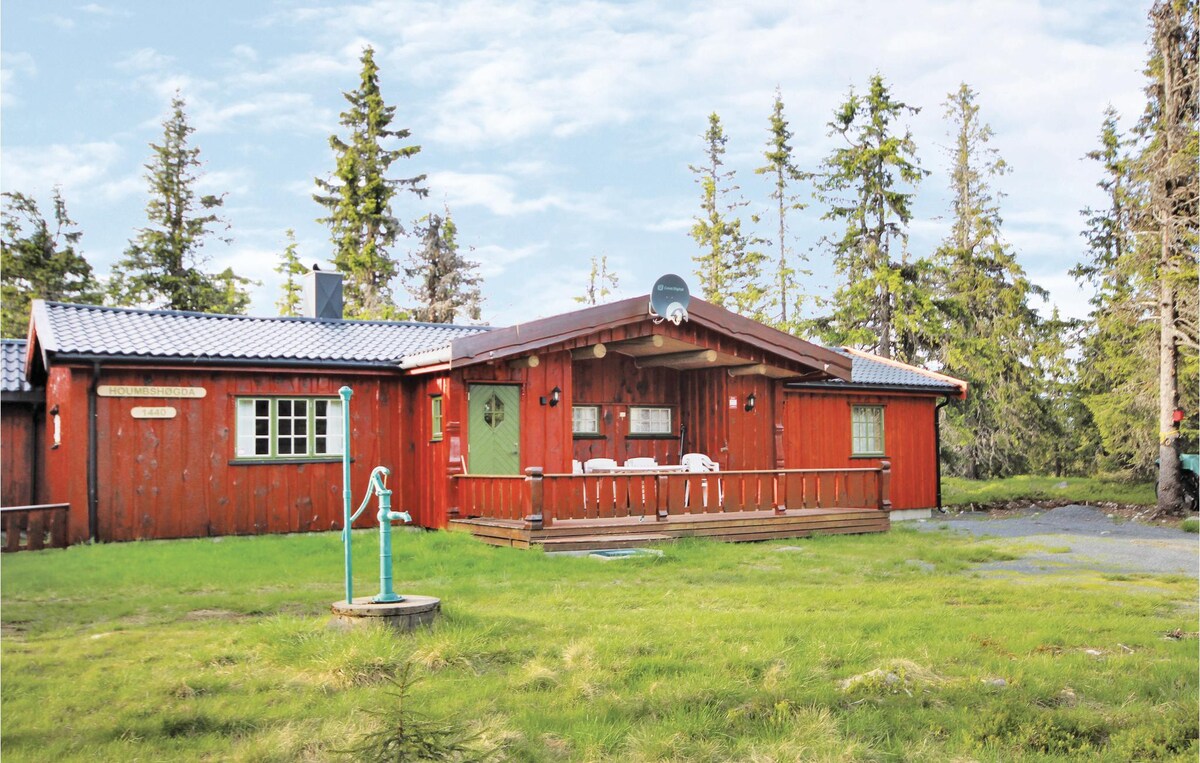 Sjusjøen很棒的房源，有5间卧室和无线网络