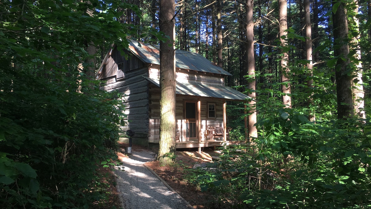 Woodland view-Green Log Cabin