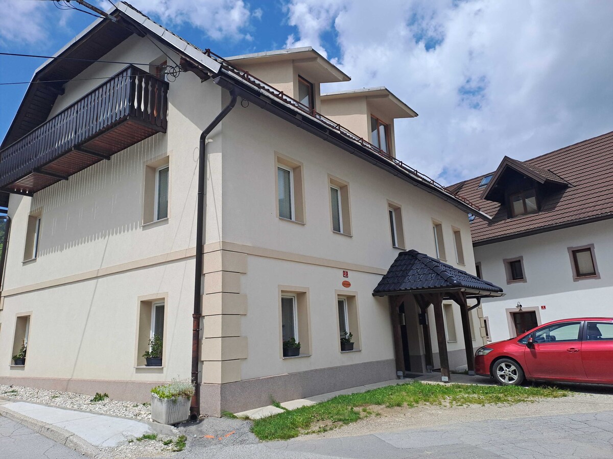 Apartment Danica in Kranjska Gora