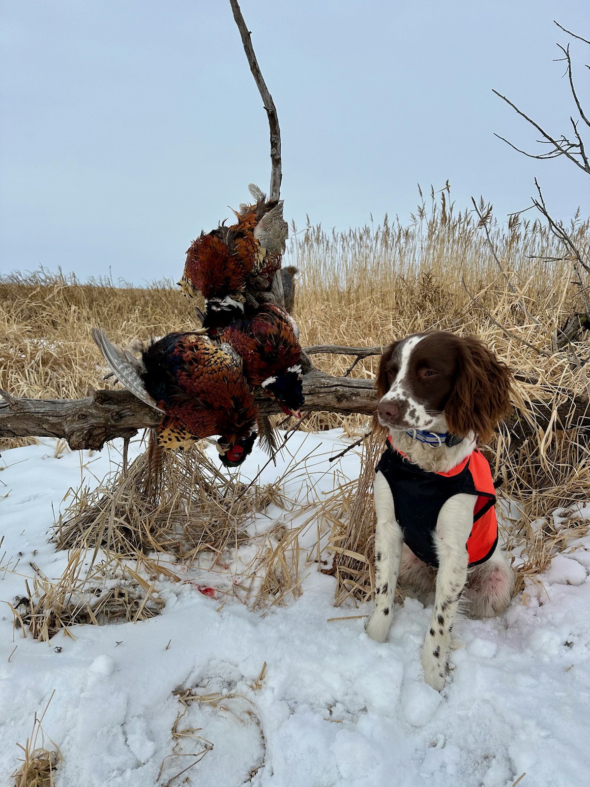 Calvert Creek Hunting Lodge